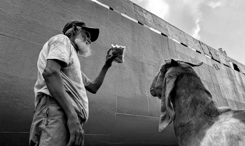 „Dă-mi, te rog, cheile înapoi, Mariana”: Povestea unei granițe încălcate între generații