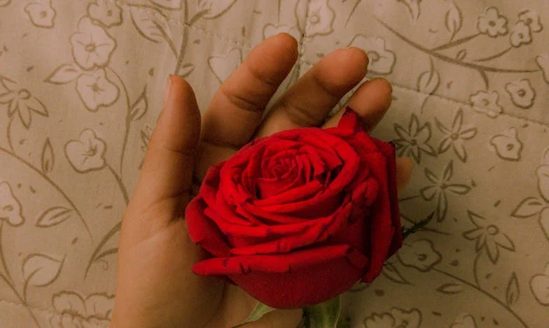 De ce acum? Povestea unei bunici între dorință, vină și dragoste