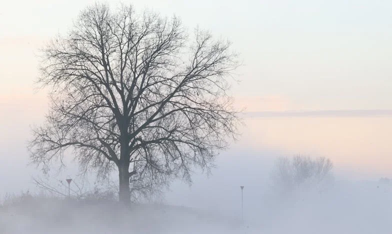 „De ce nu te mai întorci acasă, fiule?” – Lupta mea cu distanța care ne rupe familia