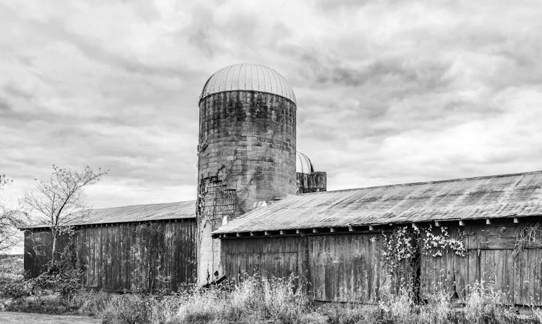 Falia Nevăzută: Cum Am Pierdut-o pe Fiica Mea, Gabriela