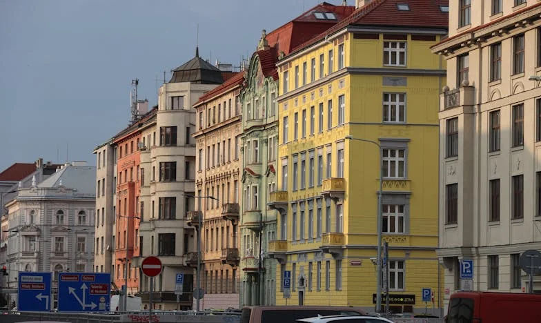 Fratele meu Vlad și eu: Povestea unei mâini mici care schimbă lumea