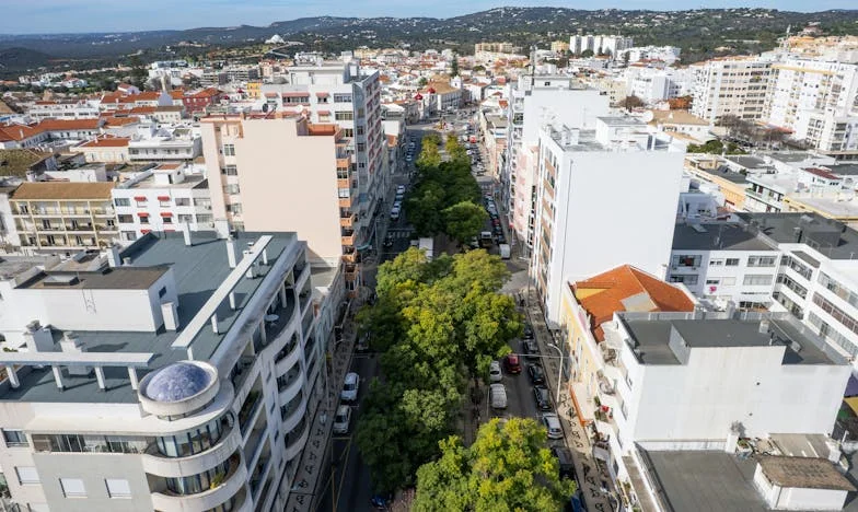 Grădina Tăcerilor: Cum Visul Meu S-a Transformat Într-un Câmp de Bătălie al Familiei