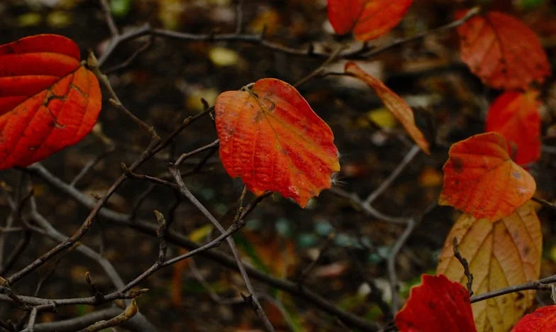 Între copilărie și responsabilitate: Povestea unei mame adolescente din Ploiești