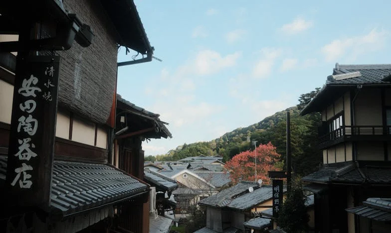 Între două lumi: Soțul meu, mama lui și eu