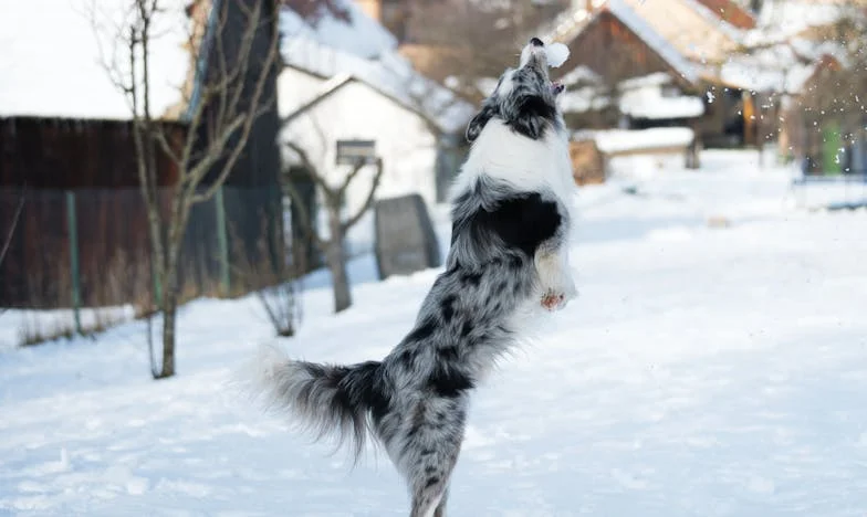 Între tăcere și adevăr: Povestea mea de a crește fără tată în România