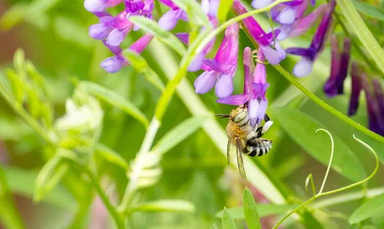 Moștenirea care ne-a sfâșiat familia: Poveste despre bani, iubire și trădare