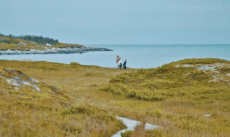 „Nu ești fiica mea!” – Povestea unui adevăr care a sfâșiat o familie