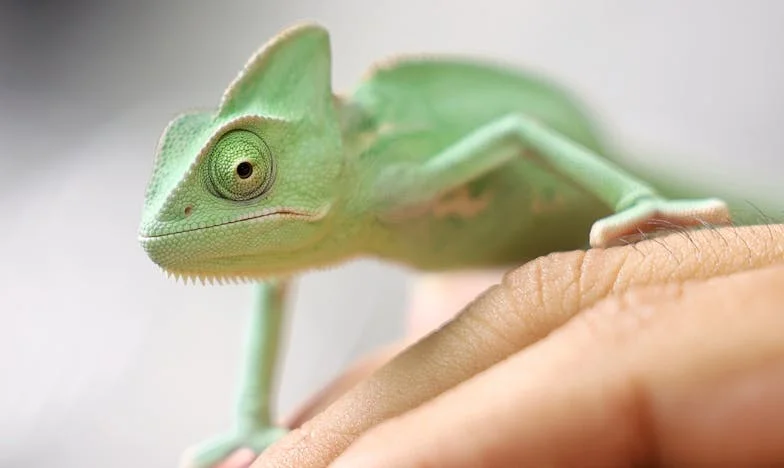 Nu sunt nici bonă, nici servitoare: Ziua în care i-am spus fiicei mele că am și eu o viață