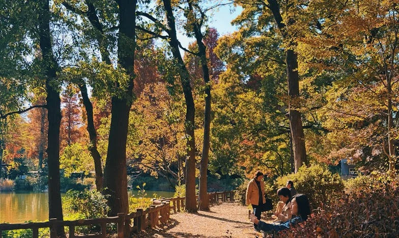 Oaspete în casa fiului meu: Povestea Mariei