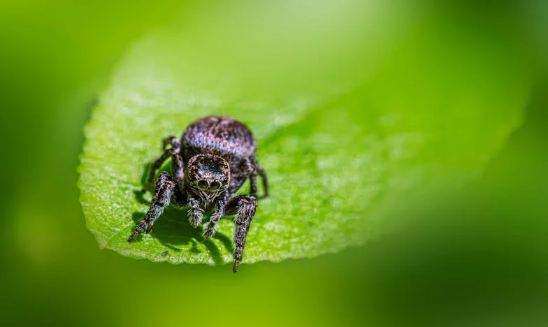 Portofelul soțului meu, închisoarea mea: Lupta pentru libertate într-o căsnicie înghețată
