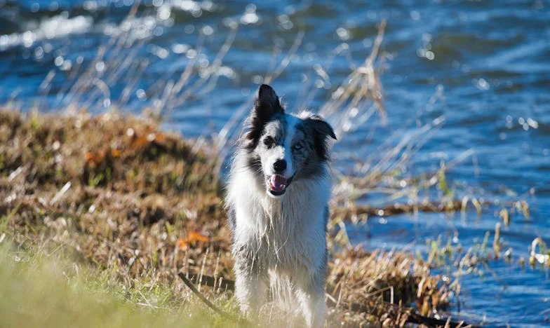 Portofelul soțului meu, zidul meu de închisoare: Lupta mea pentru libertate într-o căsnicie înghețată