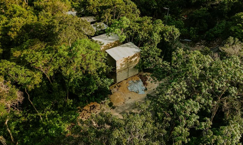 „Să-și plătească tatăl tău cheltuielile!”: Povestea unei familii amestecate și lupta pentru unitate