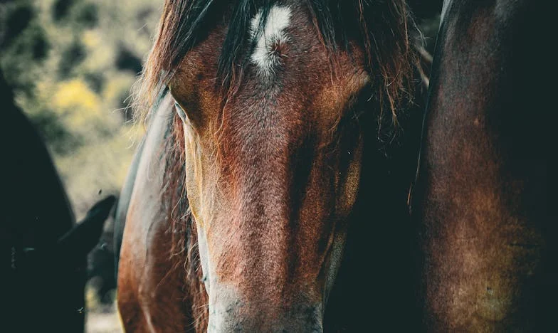 Șaizeci de ani de minciuni: Povestea unei aniversări care mi-a schimbat viața