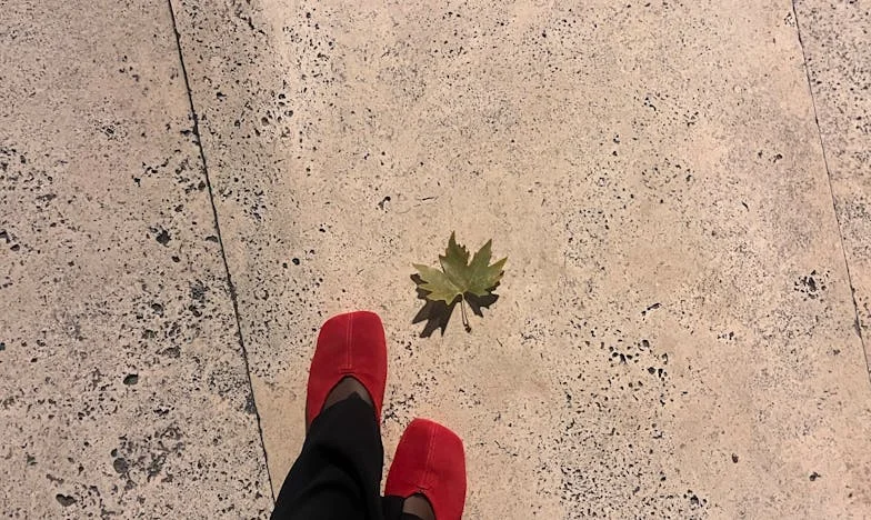 Sora mea, copilul ei și tăcerea mea: O noapte care mi-a schimbat viața