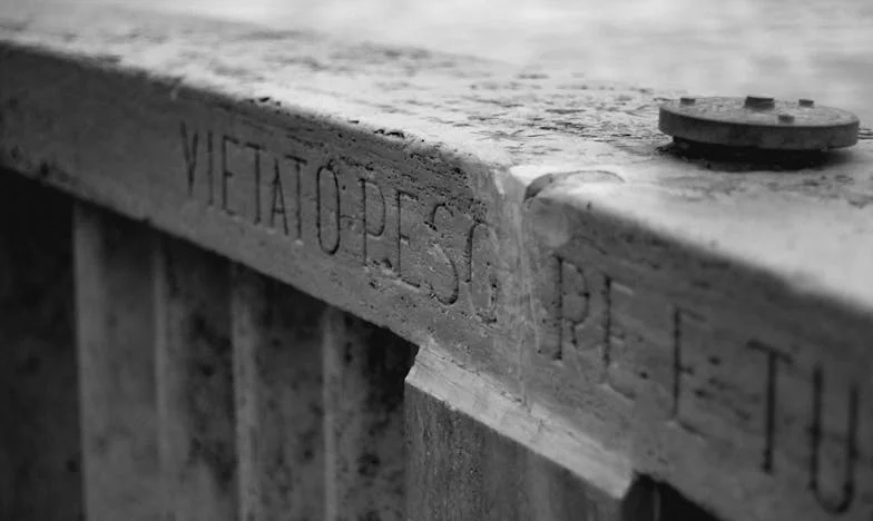 Tăcerea care mă sfâșie: Povestea unei familii românești sub semnul economiilor