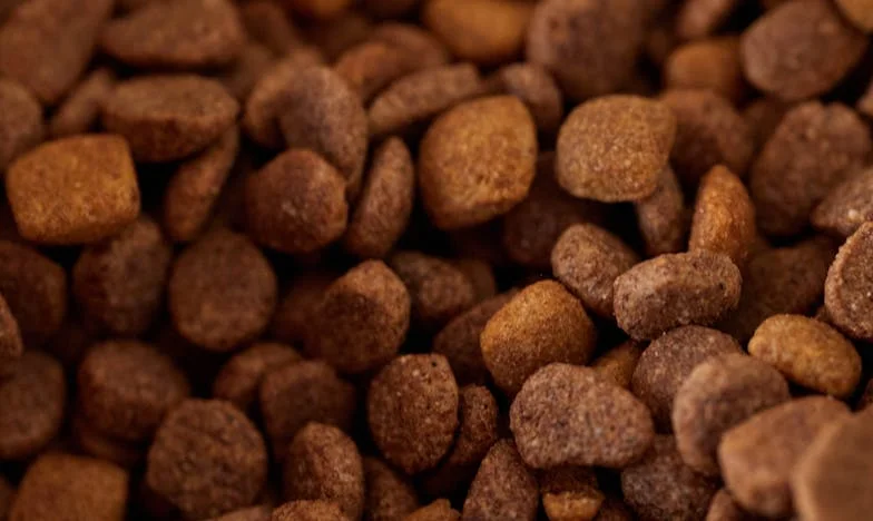 Trădată de propria mamă: Cum mi-a furat mama moștenirea de la tata