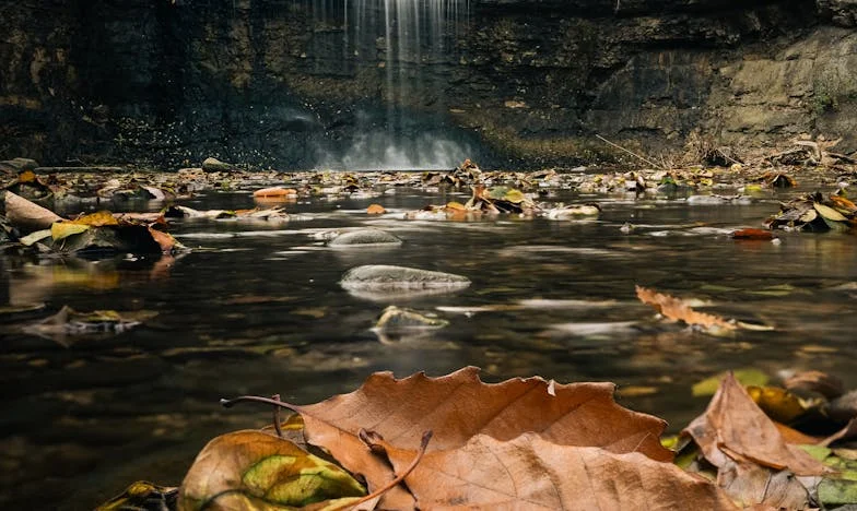 Trei copii, trei încercări: Când dragostea nu mai ține loc de pâine