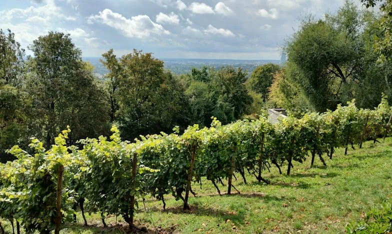 Umbra trecutului: Când iubirea se ciocnește de răni vechi