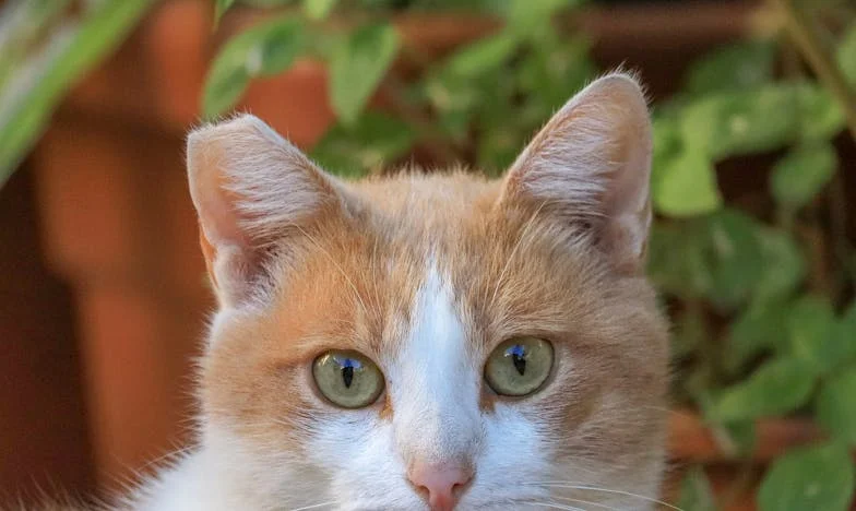 Un weekend cu socrii: Prizonieră în propria mea casă