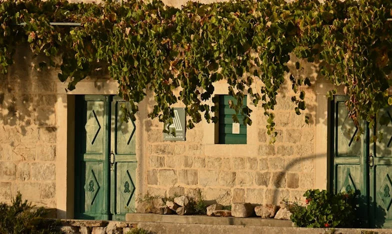 Vara de care mi-a frânt inima: Poveste despre sacrificiu, familie și tăcere