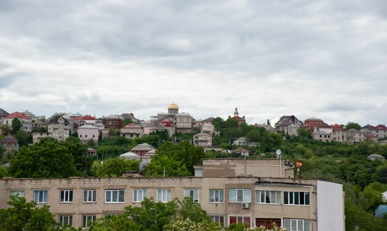 Brat, datoria și coșmarul unei semnături: Povestea mea cu Octavia