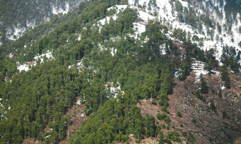 Cadoul care a rupt tăcerea: Povestea unei umilințe de neiertat