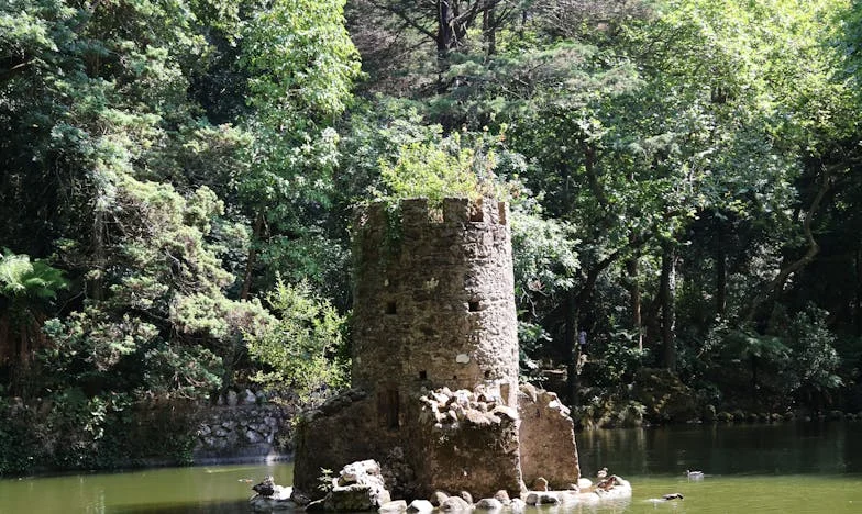 Când casa ta devine străină: Povestea unei trădări și a unui nou început