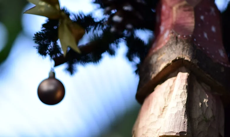 Când dragostea doare mai tare decât bisturiul: Povestea mea despre trădare și regăsire