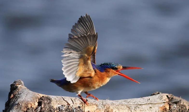 Casa din care am plecat cu inima frântă