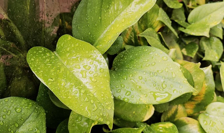 Datoria care nu se plătește niciodată: Când banii otrăvesc familia