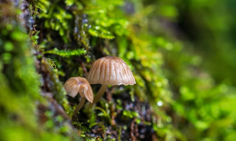 De ce nu mai vreau să cer ajutorul părinților: Povestea mea despre casă, familie și demnitate