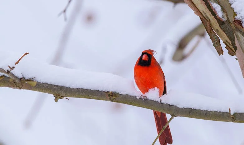 „De la chiriaș în casa tatălui meu la salvatorul lui financiar: Povestea unei iubiri cu preț”