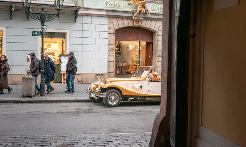 Două fețe ale adevărului: Când gemenii mei au răsturnat lumea cu susul în jos