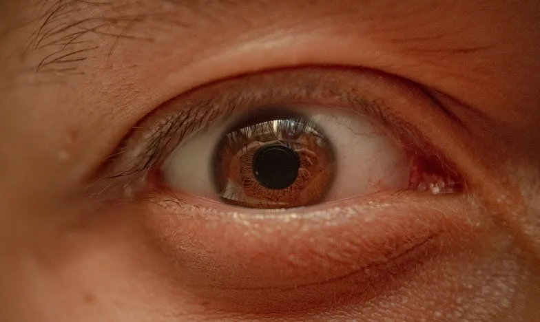 Factura din Coșul de Gunoi: Povestea Costurilor Ascunse și a Încrederii Frânte