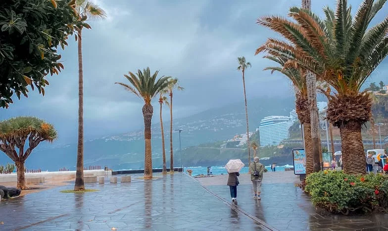 Frigiderul Gol și Inima Plină de Teamă: Viața Mea între Sacrificii și Vise Frânte