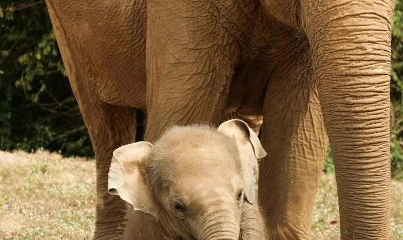 „Împachetează și vino acum!” – Cum mi-a preluat soacra controlul asupra vieții