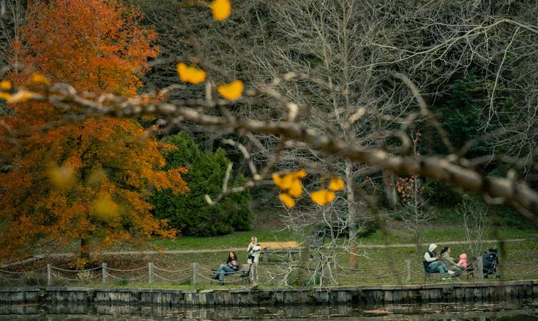 M-a dat afară din casă pentru amanta lui: „Fără mine muriți de foame” — un an mai târziu am devenit proprietara firmei lui de transport