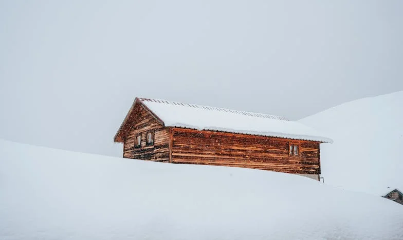 Noaptea în care am pierdut-o și am regăsit-o pe Sofia: Frică, speranță și răni de familie