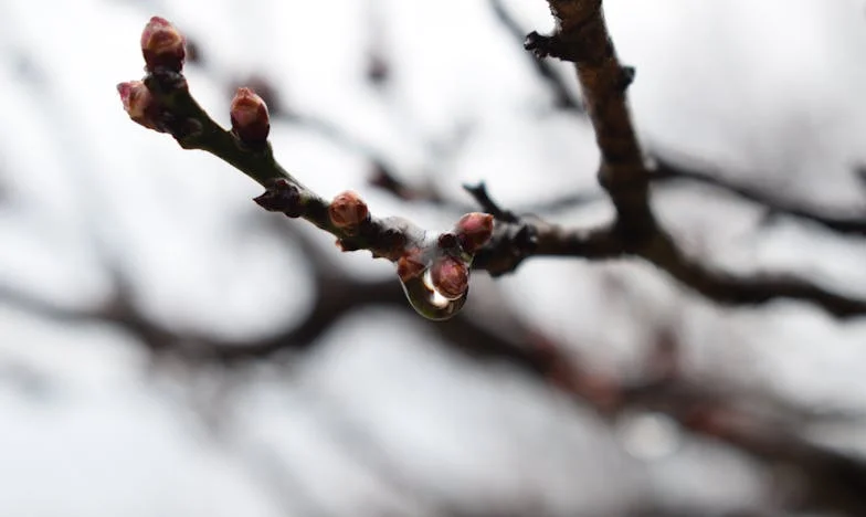 „Nu e vina ta, Maria!” – Povestea unei mame care a uitat de ea însăși