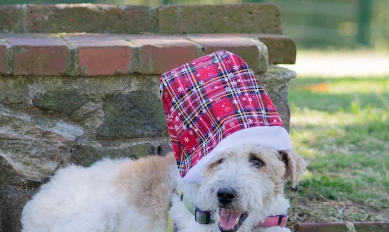 „Nu mai pot! Vreau să trăiesc pentru mine” – Mărturisirea Anei după 37 de ani de căsnicie