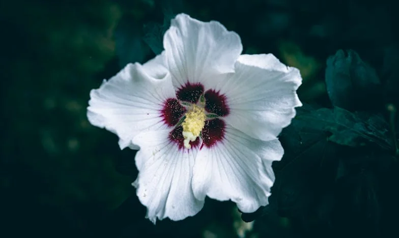 Sâmbăta care mi-a furat liniștea – Povestea Anei din cartierul Titan