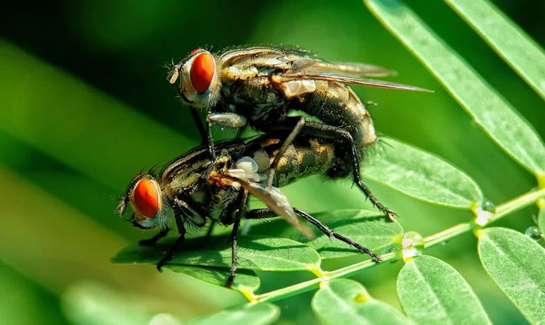 Umbra celeilalte femei: Povestea unei încrederi sfâșiate