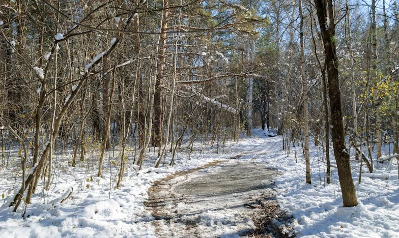 Umbrele trecutului: Povestea unei mame la răscruce