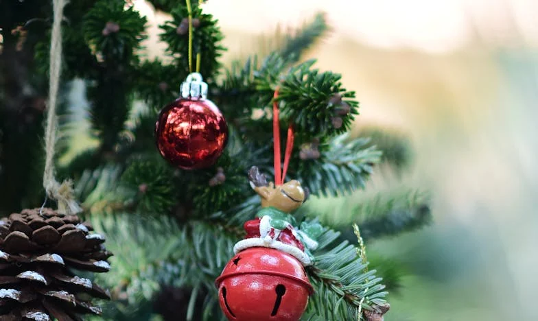 Ziua mea nu e a voastră – O femeie româncă împotriva așteptărilor familiei