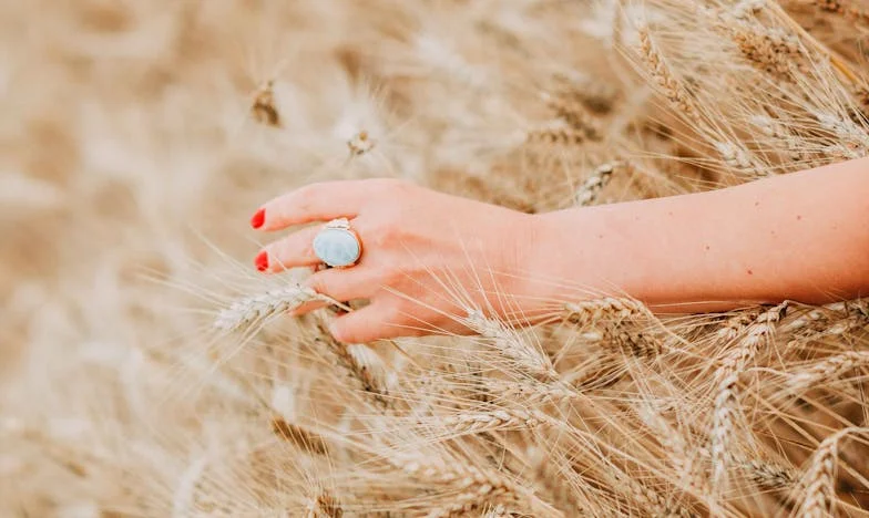 Aniversarea Noastră a Fost Anulată pentru Mama Soacră, Dar Ea Ne-a Trădat