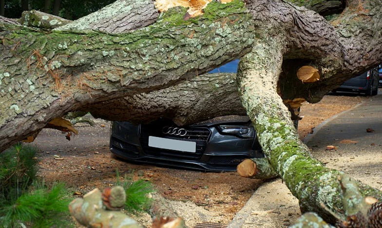 Când familia devine o povară: lupta mea pentru limite, bani și libertate