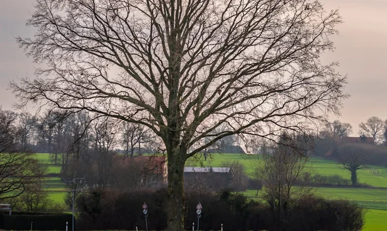 De ce nu mă mai las să iubesc?