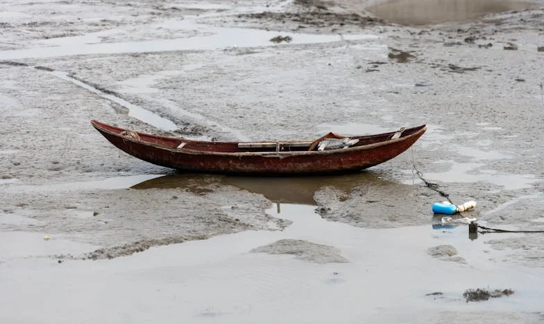 Între două lumi: Povestea unei nurori în România