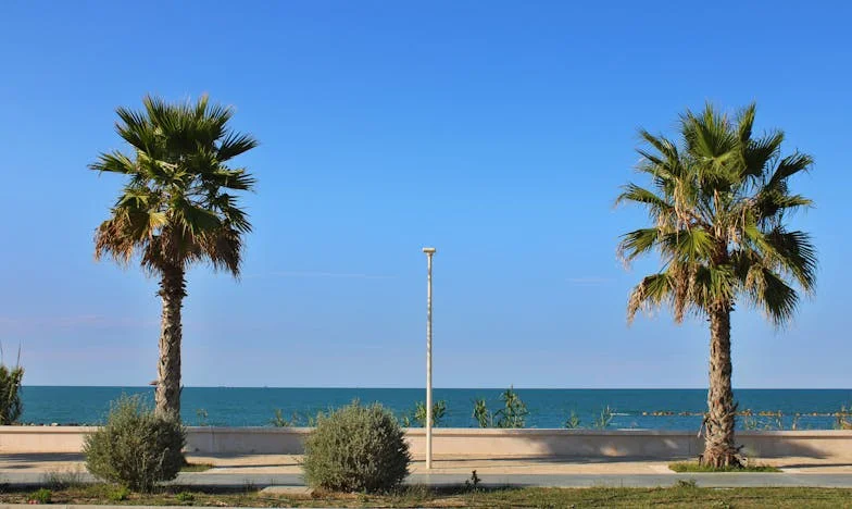 „Nu suntem plante, să creștem singuri”: Povestea unei surori care a luptat pentru familia ei