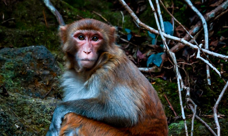 O fotografie veche și un adevăr nespus